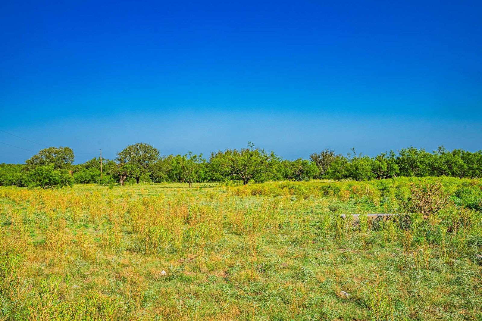 Menard County Twin Oaks Ranch S of Menard Texas Ranches For Sale